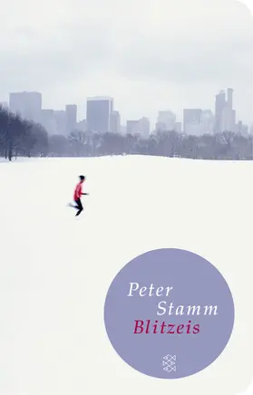 Stamm |  Blitzeis | Buch |  Sack Fachmedien