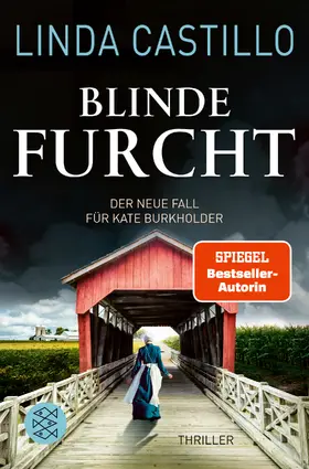 Castillo |  Blinde Furcht | Buch |  Sack Fachmedien