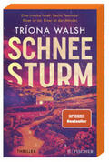 Walsh |  Schneesturm | Buch |  Sack Fachmedien