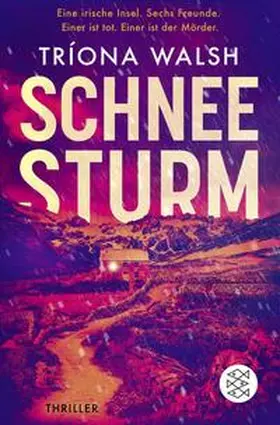 Walsh |  Schneesturm | Buch |  Sack Fachmedien