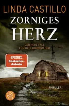 Castillo |  Zorniges Herz | Buch |  Sack Fachmedien