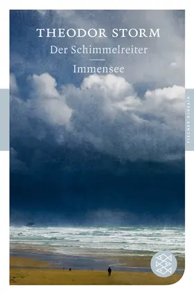 Storm |  Der Schimmelreiter / Immensee | Buch |  Sack Fachmedien