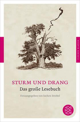 Strobel |  Sturm und Drang | Buch |  Sack Fachmedien