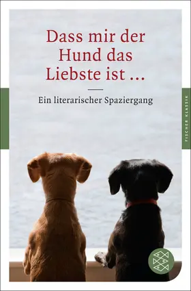 Balmes / Grossmann | Dass mir der Hund das Liebste ist ... | Buch | 978-3-596-90379-5 | www.sack.de