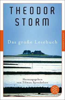 Storm / Spreckelsen | Das große Lesebuch | Buch | 978-3-596-90626-0 | www.sack.de