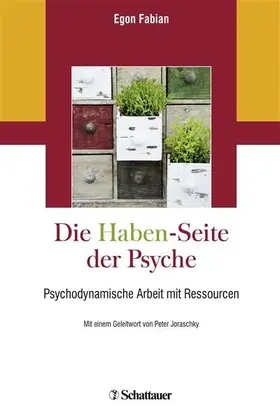 Fabian |  Die 'Haben'-Seite der Psyche | eBook | Sack Fachmedien