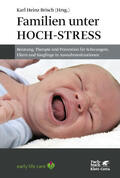 Brisch |  Familien unter Hoch-Stress | Buch |  Sack Fachmedien