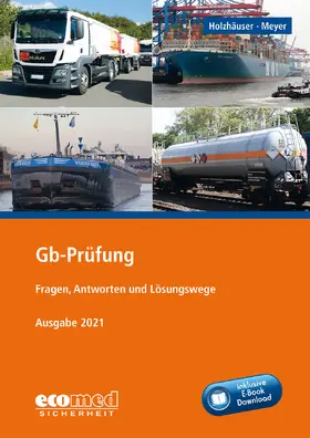 Holzhäuser / Meyer | Holzhäuser, J: Gb-Prüfung inklusive E-Book | Medienkombination | 978-3-609-20474-1 | sack.de