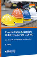 Schwede |  Praxisleitfaden Gesetzliche Unfallversicherung (SGB VII) | Buch |  Sack Fachmedien