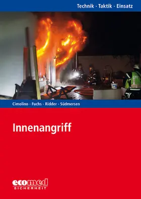 Cimolino / Fuchs / Ridder |  Innenangriff | Buch |  Sack Fachmedien