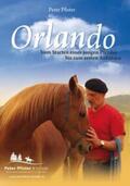 Pfister |  DVD - Orlando | Sonstiges |  Sack Fachmedien
