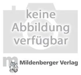 Hirth-Baier / Philipp / Risel |  Sprachkiste / Sprachkiste Sprachbuch 4, Schülerbuch | Buch |  Sack Fachmedien