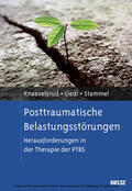 Knaevelsrud / Stammel / Liedl |  Posttraumatische Belastungsstörungen | eBook | Sack Fachmedien