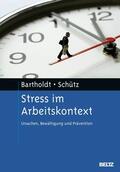 Bartholdt / Schütz |  Stress im Arbeitskontext | eBook | Sack Fachmedien