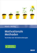 Noack / Neudeck / Beiling |  Motivationale Methoden | Buch |  Sack Fachmedien