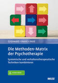 Grünwald / Horni / Held |  Die Methoden-Matrix der Psychotherapie | Buch |  Sack Fachmedien