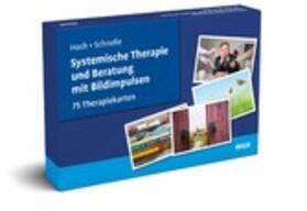 Hoch / Schnelle | Systemische Therapie und Beratung mit Bildimpulsen | E-Book | sack.de