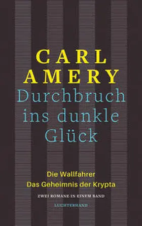 Amery |  Durchbruch ins dunkle Glück | Buch |  Sack Fachmedien