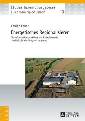 Faller | Energetisches Regionalisieren | Buch | 978-3-631-67319-5 | sack.de