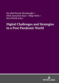 Öztürk / Klein / Zamant¿l¿ Nay¿r |  Digital Challenges and Strategies in a Post-Pandemic World | Buch |  Sack Fachmedien