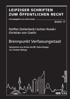 Rozek / von Coelln / Detterbeck | Brennpunkt Verfassungsstaat | Buch | 978-3-631-91201-0 | sack.de