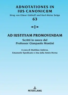  Ad iustitiam promovendam | Buch |  Sack Fachmedien