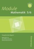 Häufglöckner / Jänicke-Stöger / Krohne |  Module Mathematik 5/6 | Loseblattwerk |  Sack Fachmedien