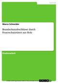 Schneider |  Brandschutzabschlüsse durch Feuerschutztüren aus Holz | eBook | Sack Fachmedien