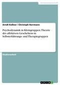 Keßner / Herrmann |  Psychodynamik in Kleingruppen. Theorie des affektiven Geschehens in Selbsterfahrungs- und Therapiegruppen | eBook | Sack Fachmedien