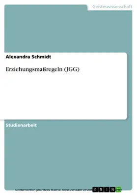 Schmidt |  Erziehungsmaßregeln (JGG) | eBook | Sack Fachmedien