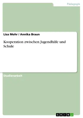 Mohr / Braun |  Kooperation zwischen Jugendhilfe und Schule | eBook | Sack Fachmedien