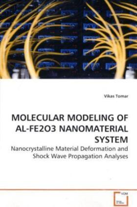 Tomar |  MOLECULAR MODELING OF AL-FE2O3 NANOMATERIAL SYSTEM | Buch |  Sack Fachmedien