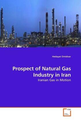 Omidvar | Prospect of Natural Gas Industry in Iran | Buch | 978-3-639-21621-9 | sack.de