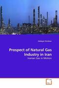 Omidvar |  Prospect of Natural Gas Industry in Iran | Buch |  Sack Fachmedien