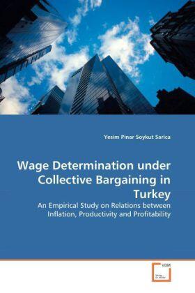Soykut Sarica | Wage Determination under Collective Bargaining in Turkey | Buch | 978-3-639-22714-7 | sack.de
