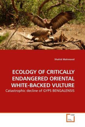 Mahmood |  ECOLOGY OF CRITICALLY ENDANGERED ORIENTAL WHITE-BACKED VULTURE | Buch |  Sack Fachmedien
