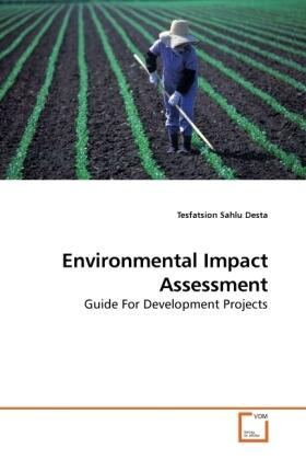 Desta | Environmental Impact Assessment | Buch | 978-3-639-24210-2 | sack.de