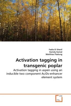 El Sherif / Kamal / Fladung |  Activation tagging in transgenic poplar | Buch |  Sack Fachmedien