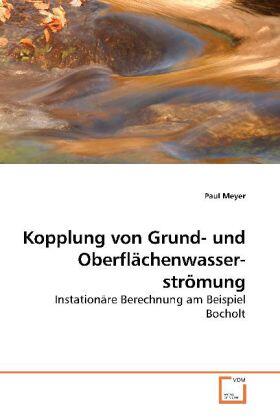 Meyer | Kopplung von Grund- und Oberflächenwasserströmung | Buch | 978-3-639-26041-0 | sack.de