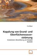 Meyer |  Kopplung von Grund- und Oberflächenwasserströmung | Buch |  Sack Fachmedien