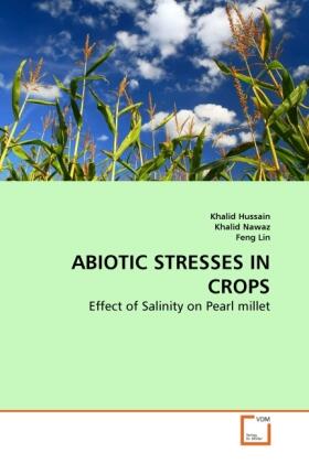 Hussain / Nawaz / Lin |  ABIOTIC STRESSES IN CROPS | Buch |  Sack Fachmedien