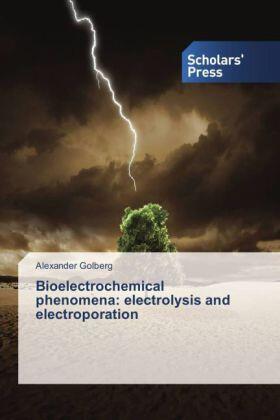 Golberg |  Bioelectrochemical phenomena:  electrolysis and electroporation | Buch |  Sack Fachmedien