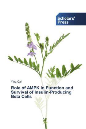 Cai |  Role of AMPK in Function and Survival of Insulin-Producing Beta Cells | Buch |  Sack Fachmedien