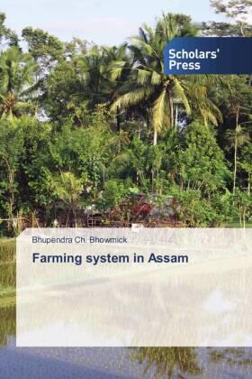 Bhowmick | Farming system in Assam | Buch | 978-3-639-70300-9 | sack.de