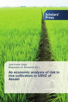 Gogoi / Bhowmick | An economic analysis of risk in rice cultivation in UBVZ of Assam | Buch | 978-3-639-70702-1 | sack.de