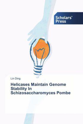 Ding |  Helicases Maintain Genome Stability In Schizosaccharomyces Pombe | Buch |  Sack Fachmedien
