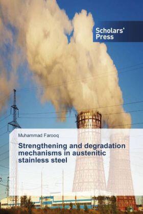 Farooq |  Strengthening and degradation mechanisms in austenitic stainless steel | Buch |  Sack Fachmedien