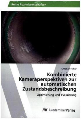 Ferber |  Kombinierte Kameraperspektiven zur automatischen Zustandsbeschreibung | Buch |  Sack Fachmedien