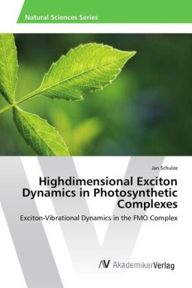 Schulze |  Highdimensional Exciton Dynamics in Photosynthetic Complexes | Buch |  Sack Fachmedien