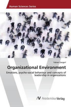 Zangerl | Organizational Environment | Buch | 978-3-639-88415-9 | sack.de